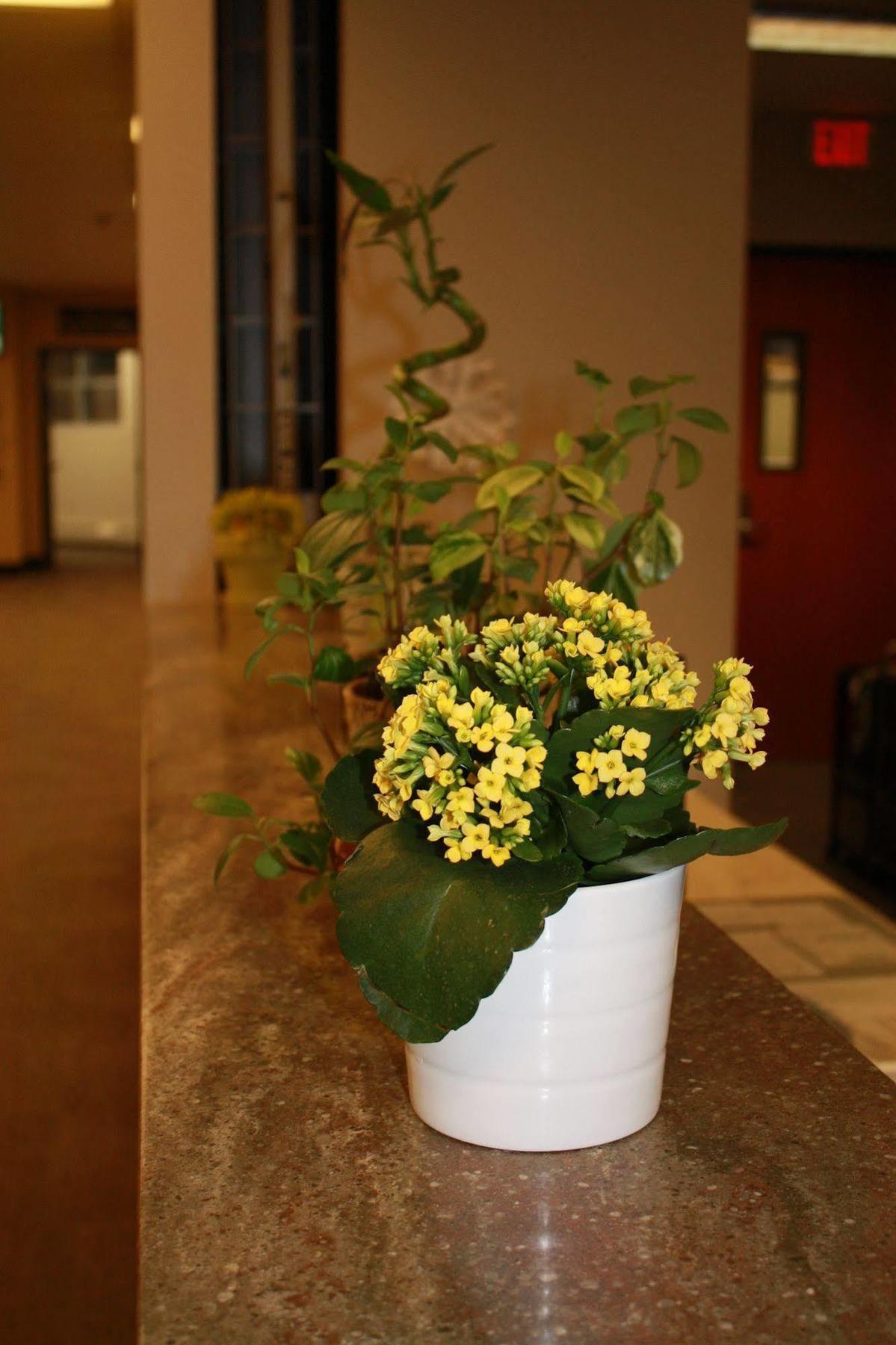 University Of Alberta - Hotel Edmonton Luaran gambar